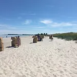 Reetdachhaus De Ole Kaat Niesgrau