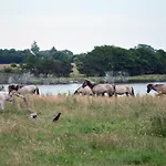 Сasa de vacaciones Reetdachhaus De Ole Kaat Niesgrau