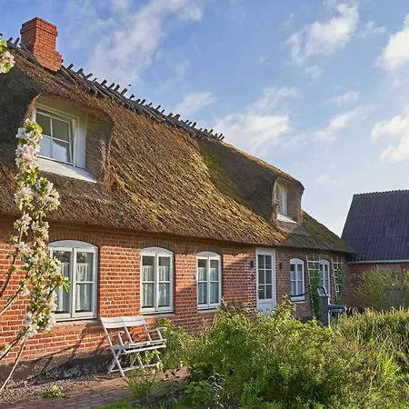 Reetdachhaus De Ole Kaat Σπίτι διακοπών